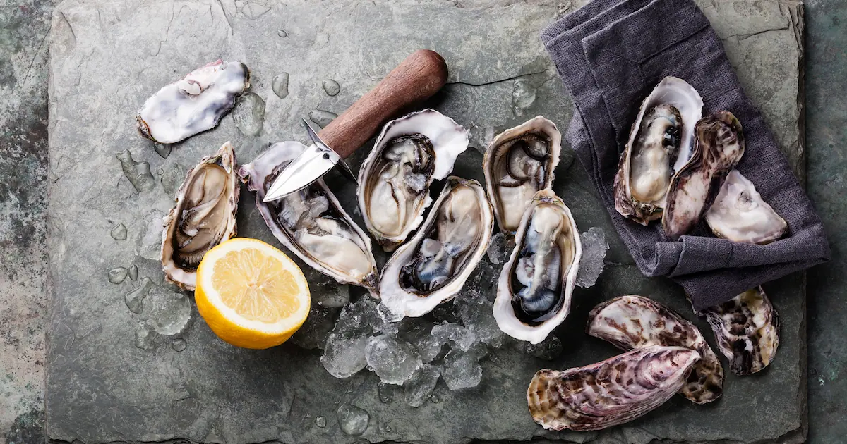 Oysters